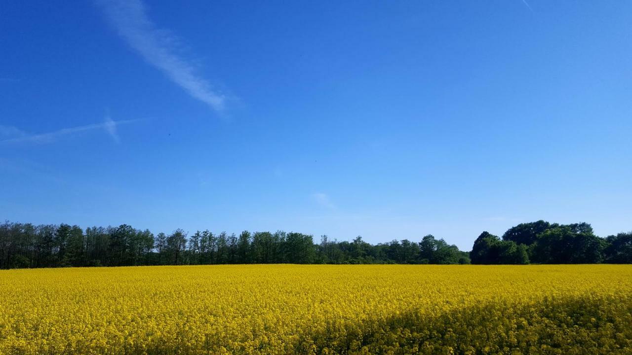 Ferienwohnung Finja In Putgarten, Kap Arkona Ruegen Eksteriør billede